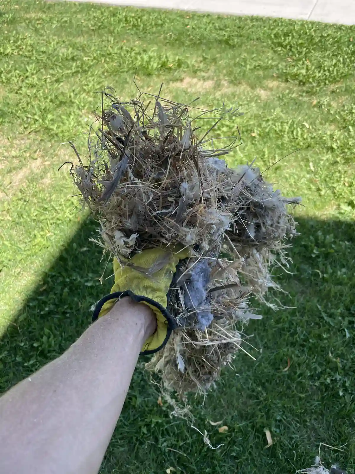 Lint Debris Removed From Vent provided by Air Pro UT.