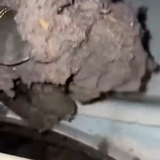 HVAC Vent Cleaning Results